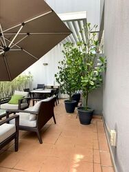 Cairnhill Residences (D9), Apartment #552191981